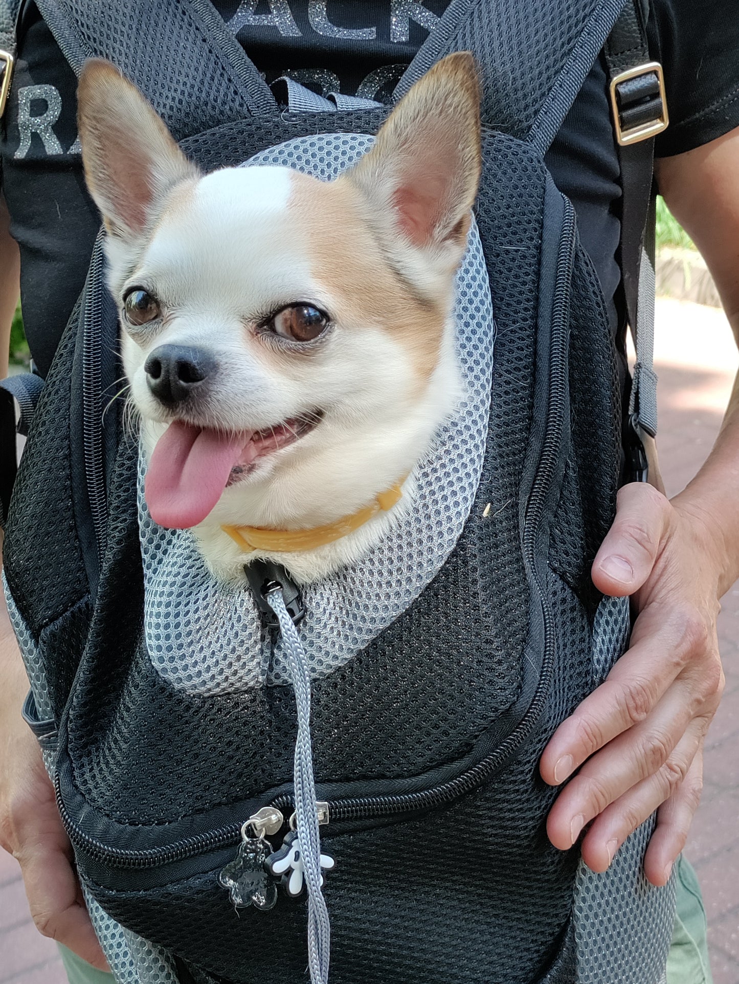 Aqua Carry Backpack