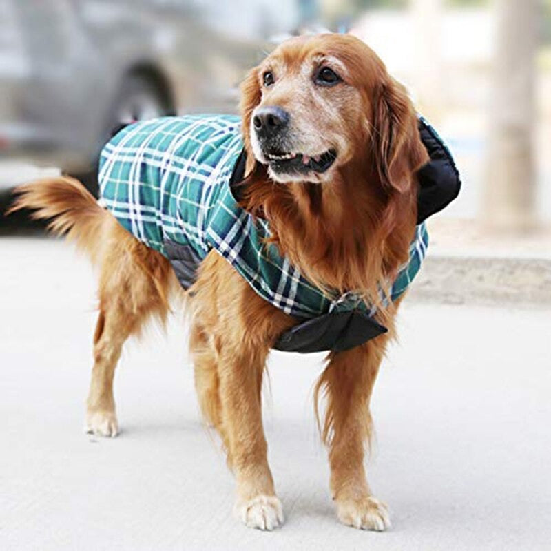 Aqua Jacket - Dog Winter Jacket