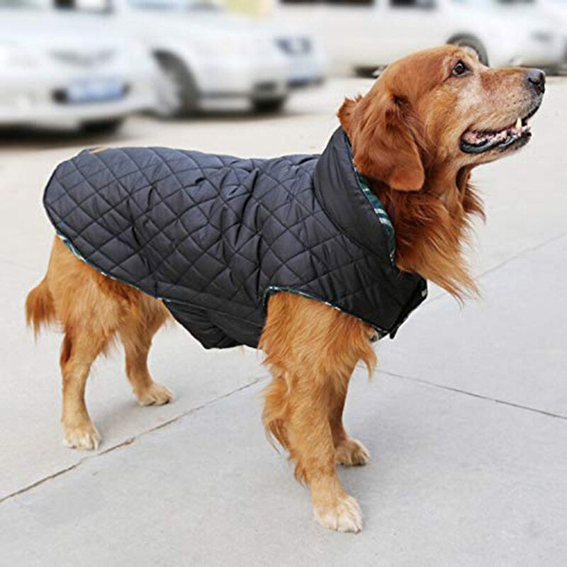 Aqua Jacket - Dog Winter Jacket