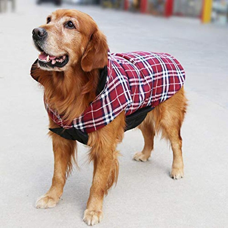 Aqua Jacket - Dog Winter Jacket